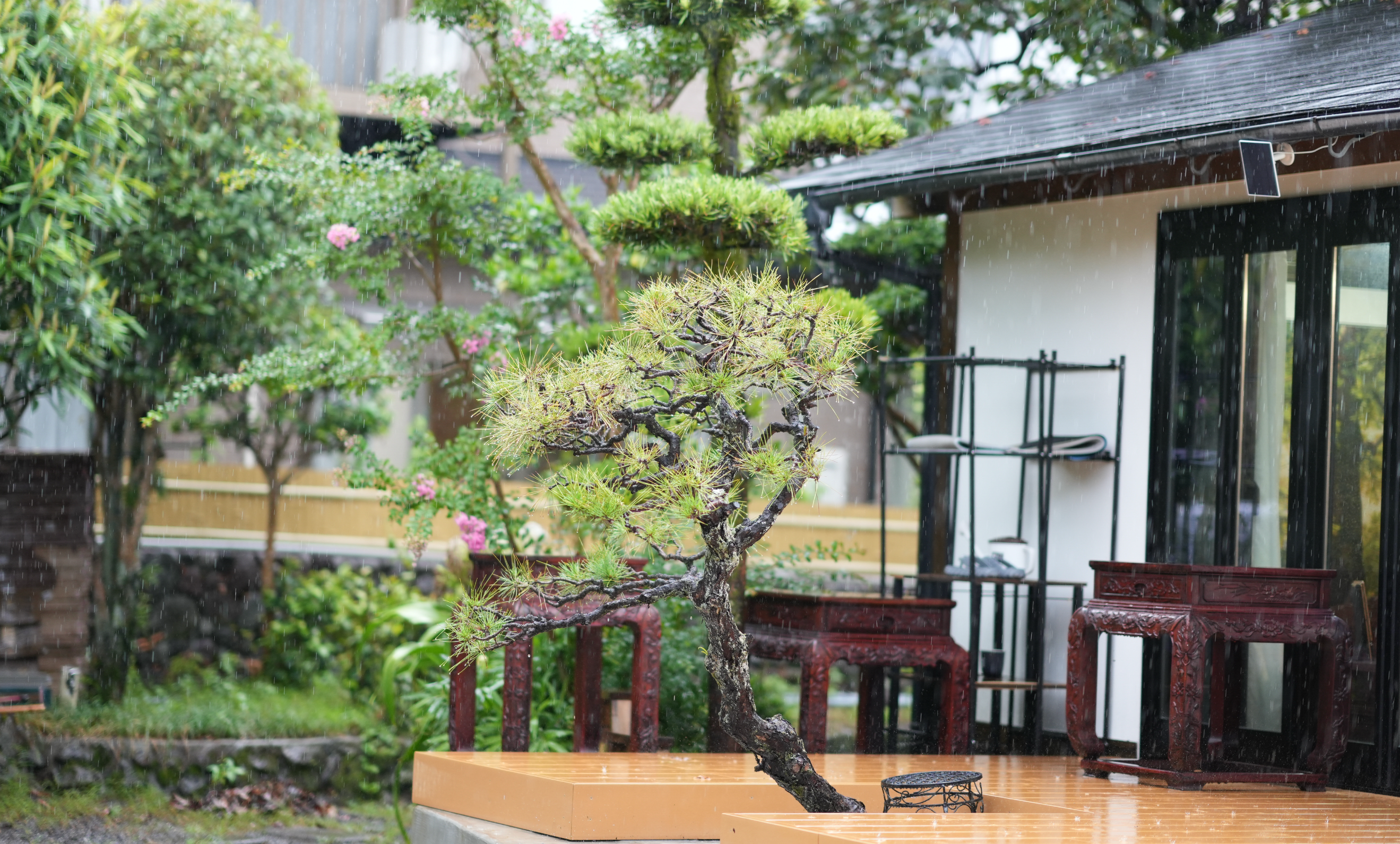 庭と湯屋のたたずまい